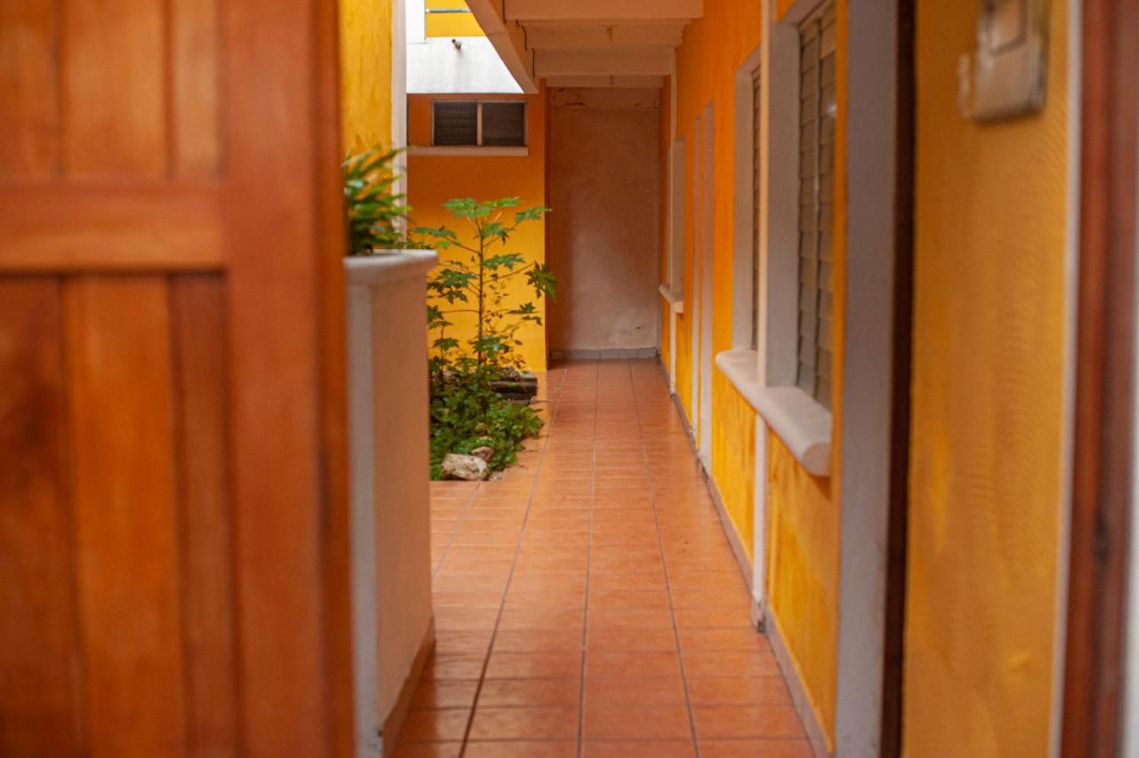 Natz Hotel Flores Ngoại thất bức ảnh